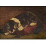 †CORNELIS RAAPHORST (1875-1954) AN INQUISITIVE KITTEN signed indistinctly, oil on panel, 13 x