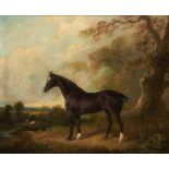 CHARLES HENRY SCHWANFELDER (1774-1837) PORTRAIT OF A HORSE BENEATH A TREE, CATTLE BEYOND signed (C H