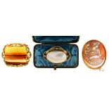 THREE LATE 19TH C GILT BROOCHES COMPRISING A SHELL CAMEO BROOCH OF A BACCHANTE, A BANDED AGATE