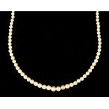 A STRING OF IMITATION PEARLS, WITH GOLD CLASP MARKED 9CT, CASED++LIGHT WEAR CONSISTENT WITH AGE