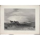 MISCELLANEOUS PICTURES, PRINTS AND ENGRAVINGS, INCLUDING NORWICH CATHEDRAL, STUDIES OF BIRDS AND