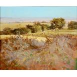 JOHN HASKINS, LOOKING TOWARDS HITCHIN FROM OFFERY HILL, SIGNED, OIL ON BOARD, 45 X 55CM