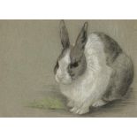 CHRISTINE MCGREGOR (EXH 1921-1925) STUDY OF A RABBIT; KING CHARLES SPANIEL; TABBY KITTEN; SHEET OF