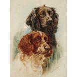 CHRISTINE MCGREGOR (EXH 1921-1925) STUDY OF TWO SPANIELS signed, watercolour, 46.5 x 35cm++Flattened