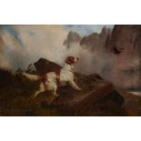 COLIN GRAEME ROE (1857-1910) AN ENGLISH SETTER signed (Colin Graeme in red), oil on canvas, 60 x