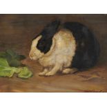 CHRISTINE MCGREGOR (EXH 1921-25) STUDY OF A RABBIT signed and dated 1919, oil on canvas, 28 x