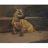 CHRISTINE MCGREGOR (EXH 1921-25) PORTRAIT OF A TERRIER signed, oil on canvas, 39.5 x 49.5cm++Small