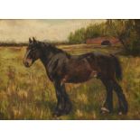 JOHN MILNER (1876-1945) PORTRAIT OF A HORSE signed and dated 1907, oil on canvas, 28.5 x 39cm++