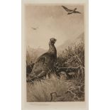 ARCHIBALD THORBURN (1860-1935) GROUSE AND OTHER SUBJECTS five, reproductions printed in sepia, all