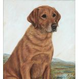 †K C BROWN (FL 1937-1962) PORTRAITS OF THE LABRADORS "JUDY" AND "GRAND LAD OF BROOKFIELD" a pair,