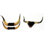 A PAIR OF BUFFALO HORNS MOUNTED ON A MAHOGANY SHIELD AND TWO OTHERS, EARLY 20TH C, 65CM W AND