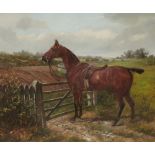 ENGLISH SCHOOL, EARLY 20TH CENTURY HUNTER AT A FIVE BAR GATE oil on canvas, 55 x 85cm++In good ready