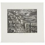 ROBIN TANNER, RE (1904-1988) AUGUST IN WILTSHIRE, 1975 etching, State III (of 3) signed by the