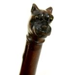 TREEN. A CARVED LETTER KNIFE, THE POMMEL AS THE HEAD OF A DOG WITH GLASS EYES, 25CM L