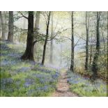 W. R. MAKINSON, THE BLUEBELL WOOD, SIGNED, OIL ON CANVAS, 39 X 49CM