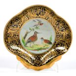 AN ENGLISH PORCELAIN SHELL SHAPED DESSERT DISH, PAINTED WITH THREE BIRDS RESERVED ON A RICHLY GILT