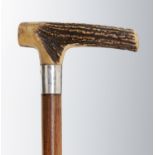 NOTTINGHAM INTEREST.  AN ANTLER HANDLED CANE MADE FROM OAK FROM THE MEDIEVAL (SECOND) TRENT