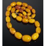 A NECKLACE OF THIRTY ONE AMBER BEADS  29.6g Good condition, stringing loose