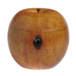 AN ENGLISH TURNED FRUITWOOD TEA CADDY IN THE FORM OF AN APPLE, EARLY 19TH C  of, probably, apple