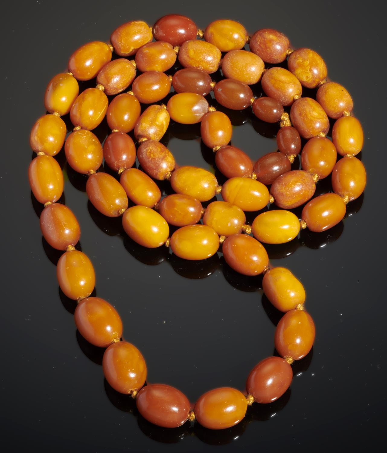 A NECKLACE OF FIFTY FIVE AMBER BEADS 85g Good condition