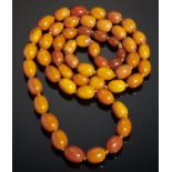 A NECKLACE OF FIFTY FIVE AMBER BEADS 85g Good condition