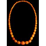 A NECKLACE OF FIFTY THREE AMBER BEADS 160g Good condition