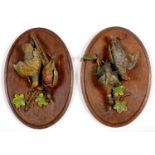 A PAIR OF CONTINENTAL COLD PAINTED METAL SCULPTURES OF HANGING GAME BIRDS ON OVAL WOOD WALL PLATE,