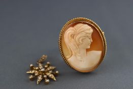 An oval hardstone cameo brooch,