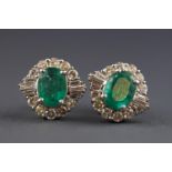 A modern white metal pair of stud earrings each set with an oval emerald