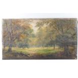 David Payne, A woodland scene, oil on canvas on a later board, signed lower left,