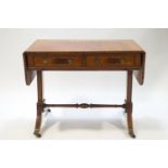 An early 20th century mahogany sofa table, the splayed legs with brass paw terminals and casters,
