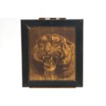 Herbert Dicksee, Tiger, engraving and mixed media, initials lower right,