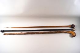 Three wooden knobbed walking sticks,