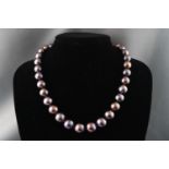 A single strand of graduated dyed cultured pearls measuring from 11.0mm to 13.0mm.
