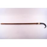 A walking stick with goats horn handle,