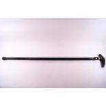 A walking stick with horn handle and carved ebonised shaft,