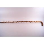 An unusual thorn wood walking stick,