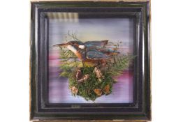Taxidermy : A kingfisher in a river bank tableau with butterflies on moss and fern perch