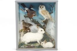 Taxidermy : A Victorian cased piece, the montage showing a seated barn owl on a branch...