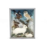 Taxidermy : A Victorian cased piece, the montage showing a seated barn owl on a branch...