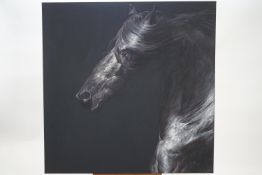 Huw Williams, horses head, oil on canvas,
