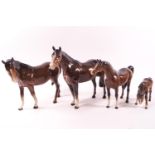 A Beswick family group of four horses, including a Stallion, mare and two foals,