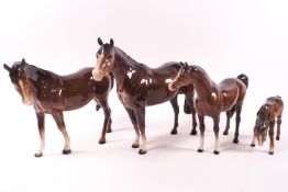 A Beswick family group of four horses, including a Stallion, mare and two foals,