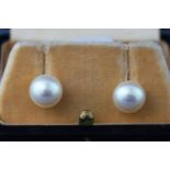 A white metal pair of cultured freshwater pearl earrings, 9.50 to 10.0mm.