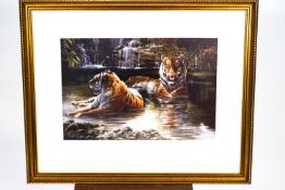 Dorothea Buxton Hyde, Tigers, print, signed and dedicated verso, 42cm x 64cm,