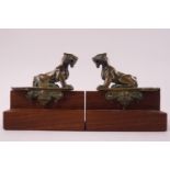 A pair of decorative bronze lion finial figures on mahogany bases,