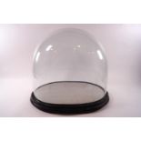 A large Victorian glass display dome and base,
