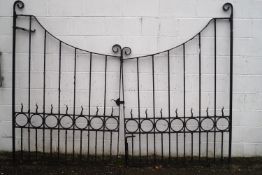 A pair of wrought iron black painted gates, 120cm high x 126cm wide (individual),