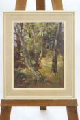 Jessica Bohannan, A Woodland glade, oil on board,signed lower right and dated 1974,