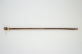 A walking cane with a dog head handle,